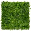 Zelená stena s tropickými rastlinami Vertical Tropic 1x1 m