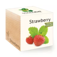 ecocube - Jahody