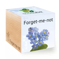 ecocube - Nezábudka