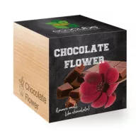 ecocube - Čokoládový kvet