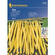 Fazuľa kríčková Dior 6-8 bm Kiepenkerl