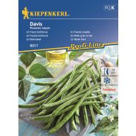 Fazuľa kríčková Davis 8-10 bm Kipenkerl