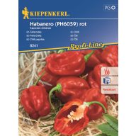   Chili paprika Habanero červená min. 7 ks semien  Kiepenkerl