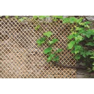 Mriežka Wick Trellis natúr  0,5x1,5 m