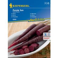 Karotka fialovo čierna Purple Sun Kiepenkerl