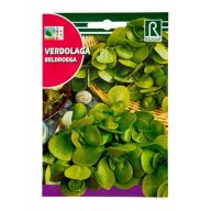 Portulák jedlý Rocalba 4 g