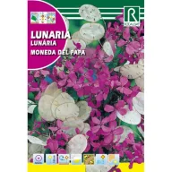 Judášove peniaze Rocalba 6 g