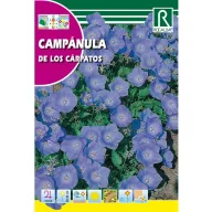 Karpatský zvonček Rocalba 1 g