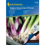   Zmes jarných cibuliek osivová rohož Kipenkerl 15 cm x 150 cm