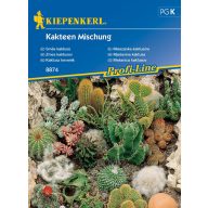 Kaktusy - zmes obľúbených odrôd Kiepenkerl 20 ks