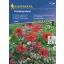 Lúka pre užitočný hmyz Kiepenkerl na 3–4 m²