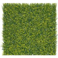 Zelená stena s listami buxusu Vertical Buxus 1mx1m