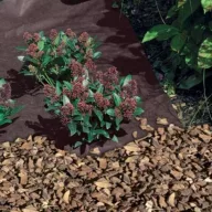   Mulčovacia geotextília Antiherbas Geotex 80 g/m2 hnedá 1,6x10m