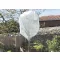 Prezimovací filc Wintertex 30 30 g/m2 2x10 m