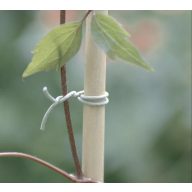   R-FIX viazací pásik na upevnenie popínavých rastlín 50 m