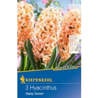 Cibuľky hyacintu Gipsy Queen 3 ks Kiepenkerl