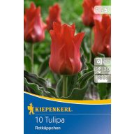 Cibuľky tulipánu Rotkäppchen 10 ks Kiepenkerl