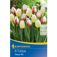 Cibuľky tulipánov Happy mix 8 ks Kiepenkerl