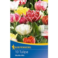 Plnokveté cibuľky tulipánov Murillo Mix 10 ks Kiepenkerl