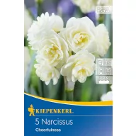 Cibuľky kvetov Narcis Cheerfulness 5 ks Kiepenkerl
