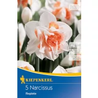 Cibuľka narcisu Replete 5 ks Kiepenkerl