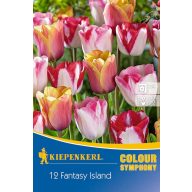   Cibuľky tulipánov farebná zmes Fantasy Island 12 ks Kiepenkerl