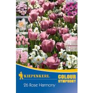   Cibuľky kvetov Colour Symphony Mega Pack Rose Harmony 26 ks Kiepenkerl