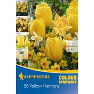   Cibuľoviny Colour Symphony Mega balenie Yellow Harmony 26 ks Kiepenkerl
