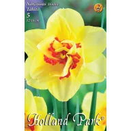 Cibuľka kvetinová Narcis Tahiti 5 ks Rédei Kertimag