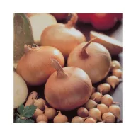 Cibuľky na sadbu Stuttgarti 14–19 mm 250 g VM