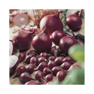 Sadbová cibuľa — fialová Red Comred 14–19 mm 250 g VM