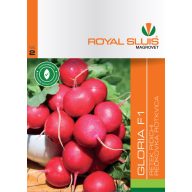 Retek Gloria F1 2 g Royal Sluis