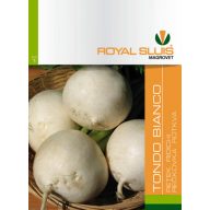 Okrúhla biela reďkev 5 g Royal Sluis