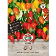   Chili-paprika (mierne štipľavá / kvapkovitý tvar) Biqiunho 8 semien Sperli