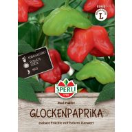   Čili paprika (stredne ostrá / v tvare zvončeka) Mad Hatter 6 semien Sperli
