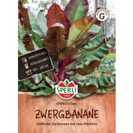 Trpasličí banán Coco 4 semená Sperli