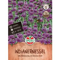 Citrónový včelí balzam 200 semien Sperli