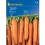 Mrkva Santorin F1 3-4 fm Kiepenkerl