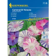 Hajnalka Carneval Di Venezia 30 semien Kiepenkerl