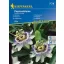 Mučenka 20 semien Kiepenkerl