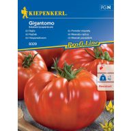 Obrovské paradajky Gigantomo Kiepenkerl 8 ks