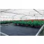 Agrotkanina čierna 100 g/m² 2,1 m x 50 m