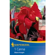   Kvetinová cibuľka kanny (Canna) Black Knight (červená) Kiepenkerl 1 ks