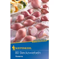 Sadivová šalotka Rosanna (ružová) Kiepenkerl 80 ks