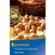 Sadzobná šalotka Yellow Moon (žltá) Kiepenkerl 10 ks