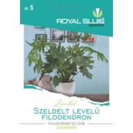 Filodendron s členitými listami 16 kusov Royal Sluis