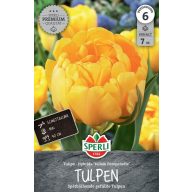   Cibuľka tulipánu plnokvetého Yellow Pompenette 7 ks Sperli