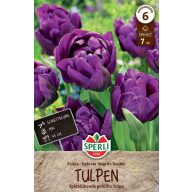 Cibuľky tulipánu plnokvetý Negrita Double 7 ks Sperli