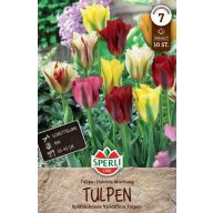 Cibuľky tulipánu farebná zmes Viridiflora 10 ks Sperli