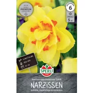 Cibuľky narcisu Tahiti plnokveté 5 ks Sperli